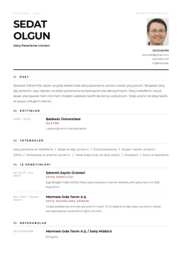 Satış Pazarlama CV Örnekleri cv indir
